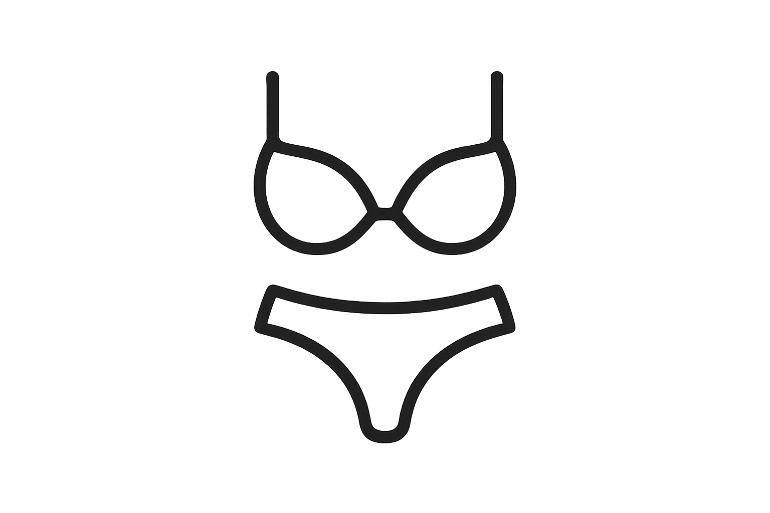 内衣 icon